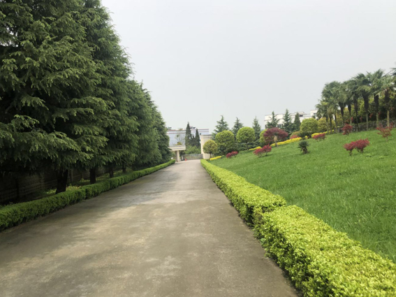 公司一角