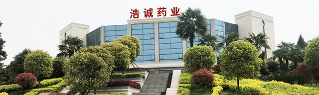 公司
