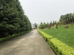公司一角