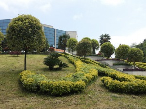 公司一角