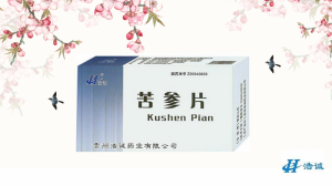 苦参片